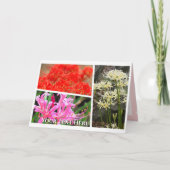 Carte Spider Lily (Devant)