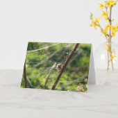 Carte Spider Web Bokeh (Fleur jaune)