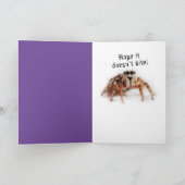 Carte Spider Web - Espérons que votre anniversaire ne mo (Intérieur)