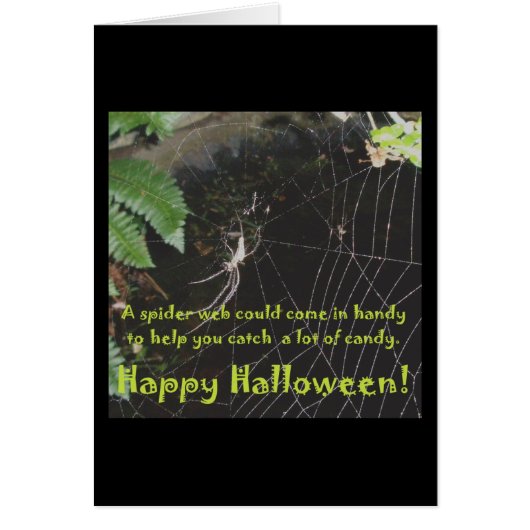 Carte Spider & Web Halloween (Devant)