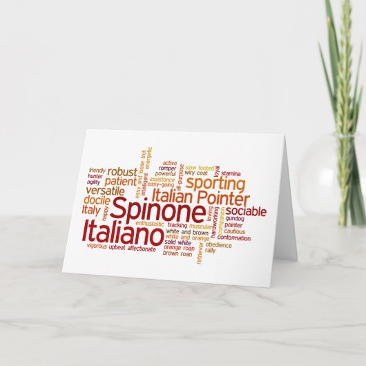 Carte Spinone Italiano (Devant)