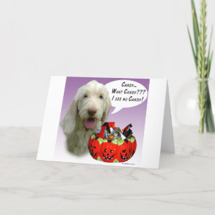 Carte Spinone Italiano Halloween Candy