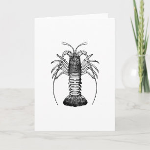 Carte Spiny Lobster (California)