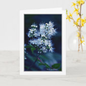 Carte Spirea (Fleur jaune)