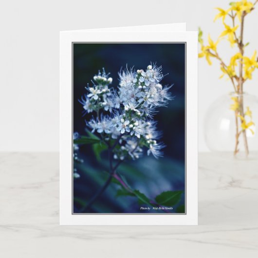 Carte Spirea (Fleur jaune)