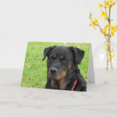 Carte Spirit Rottweiler Miss You (Fleur jaune)