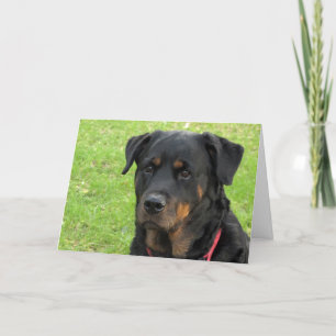 Carte Spirit Rottweiler Miss You