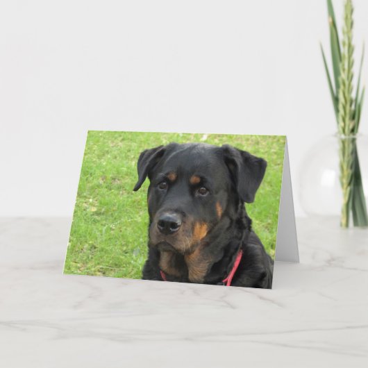 Carte Spirit Rottweiler Miss You (Devant)