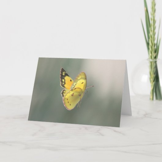 Carte Spiritual Transition Butterfly Sympathy Card (Devant)