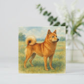 Carte Spitz finnois (Debout devant)