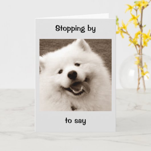 CARTE SPITZ PREND DU TEMPS DE SES FONCTIONS POUR ANNIVER (Fleur jaune)