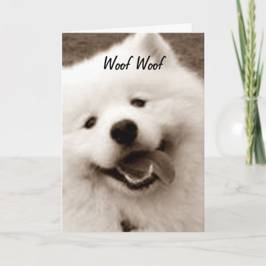 CARTE SPITZ SOUHAITE UN JOLI ANNIVERSAIRE "DU GROUPE" (Devant)