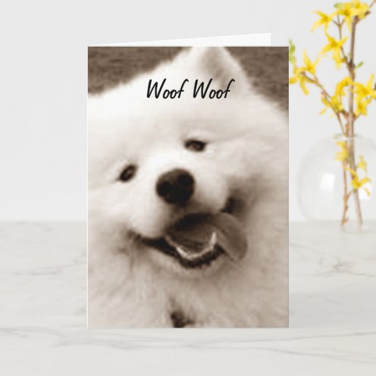 CARTE SPITZ SOUHAITE UN JOLI ANNIVERSAIRE "DU GROUPE" (Fleur jaune)