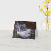 Carte Splash (Fleur jaune)