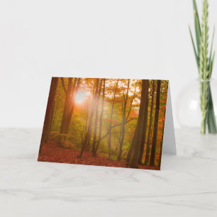 Carte Splendeur d'automne