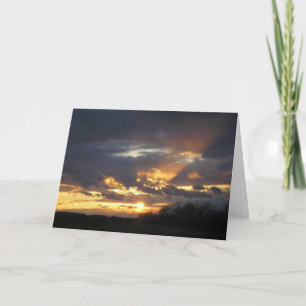 Carte "Splendor !"