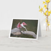 Carte Spoonbill de Roseate sur les rochers (Fleur jaune)