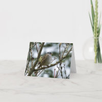 Carte Spring Chickadee