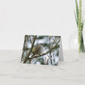 Carte Spring Chickadee (Devant)