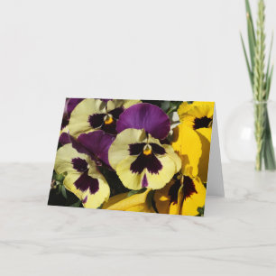 Carte Spring pansies