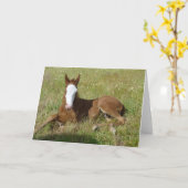 Carte Spring time foal (Fleur jaune)