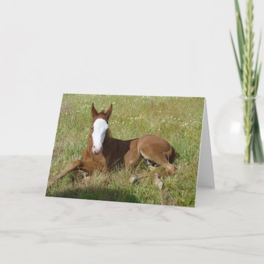 Carte Spring time foal (Devant)