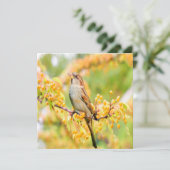 Carte Spring time Sparrow (Debout devant)