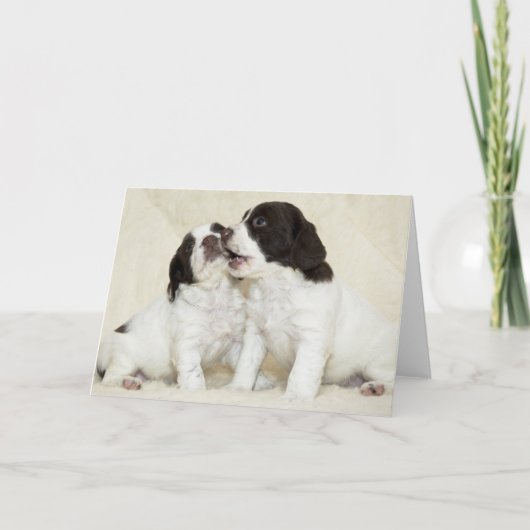 Carte Springer Puppy Friends (Devant)