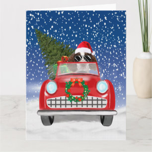 Carte Springer Spaniel Anglais Chien Voiture Dans Neige