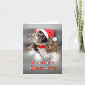 Carte Springer Spaniel de Noël