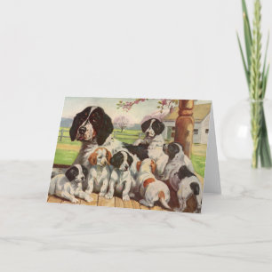 Carte Springer spaniel maman et chiots