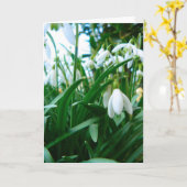 Carte Springing (Fleur jaune)