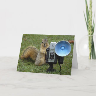 Carte squerrl card large 100