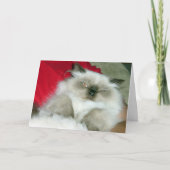 Carte Squinty Himmy (Devant)