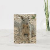 Carte Squirel (Devant)