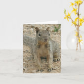 Carte Squirel (Fleur jaune)