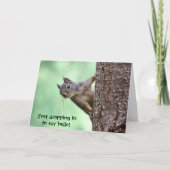 Carte Squirl (Devant)