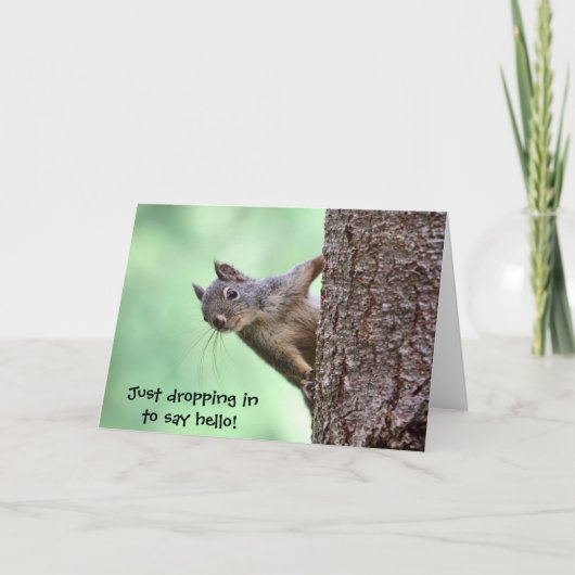 Carte Squirl (Devant)