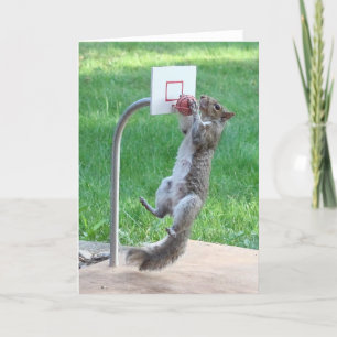 Carte Squirrel Slam Dunk