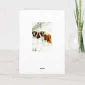 Carte St Bernard rugueux et lisse - peinture (Dos)