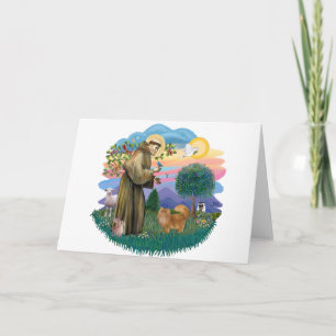 Carte St Francis (ff) - chat perse rouge