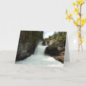 Carte St. Mary Falls I au parc national des Glaciers (Fleur jaune)