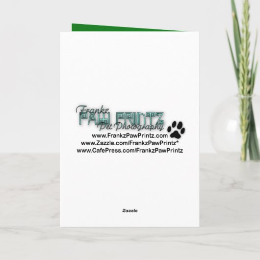 Carte St patrick - pot d'or - Basenji (Dos)