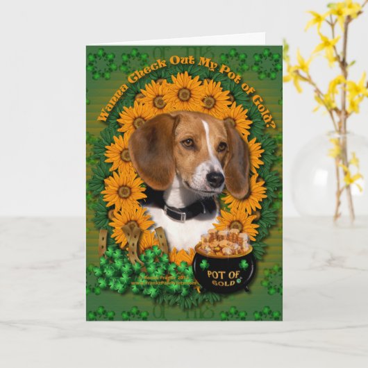 Carte St patrick - pot d'or - beagle (Fleur jaune)
