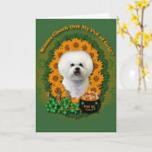 Carte St patrick - pot d'or - Bichon Frise (Fleur jaune)