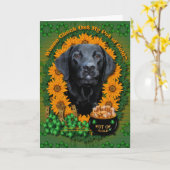 Carte St patrick - Pot d'or - Labrador - Black-Gage (Fleur jaune)