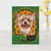 Carte St patrick - Pot d'or - Yorkshire Terrier (Fleur jaune)