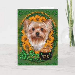 Carte St patrick - Pot d'or - Yorkshire Terrier