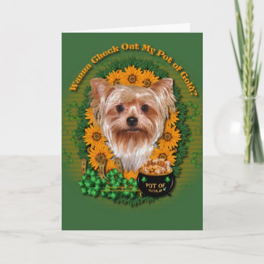 Carte St patrick - pot d'or - Yorkshire Terrier (Devant)