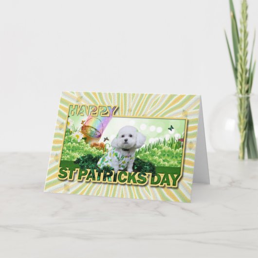 Carte St Patrick's Day - Bichon Frise - Mia (Devant)